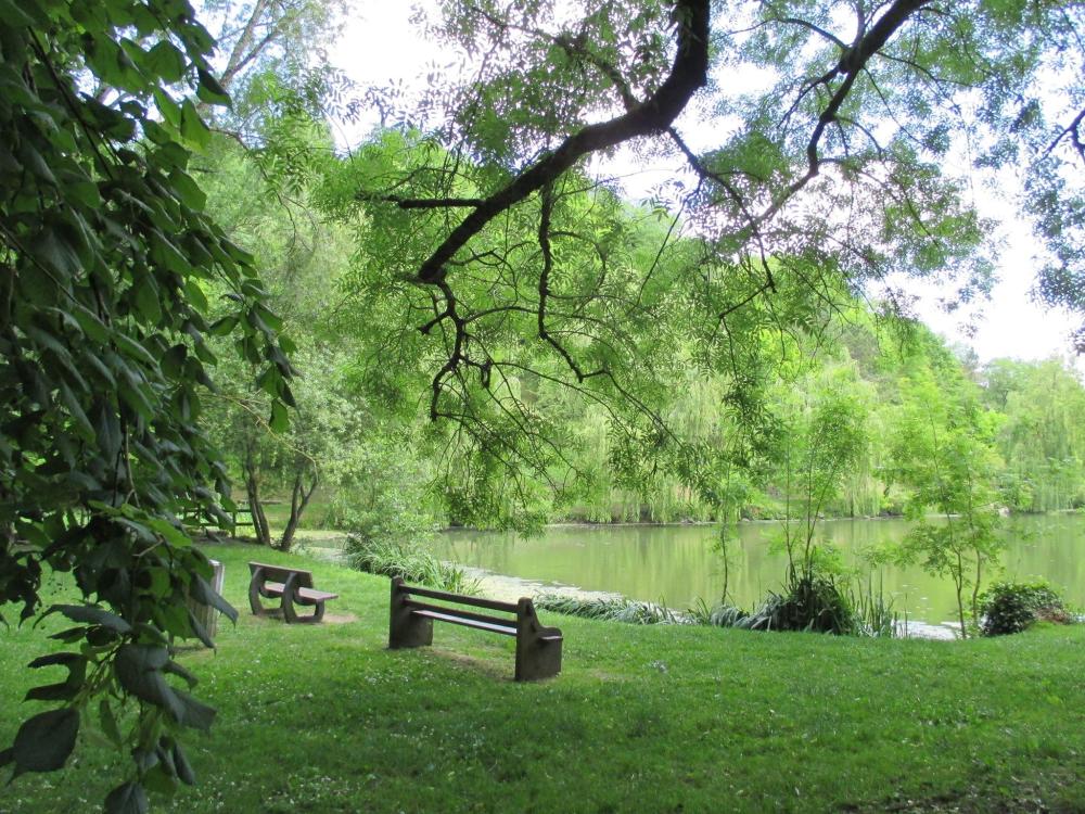 Caylus - Lac de Labarthe