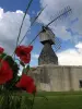 Puy de Moulin Ardanne