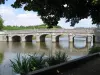 Il ponte che conduce al castello