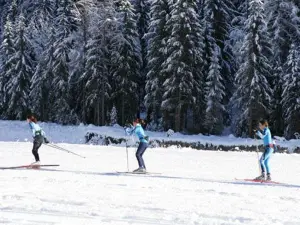 Ski de fond dans le bois du Bouchet