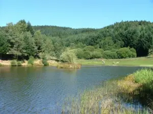 Pond - Champagnac-le-Vieux