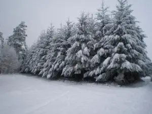 La nieve - Taladro Livradois - Champagnac-le-Vieux