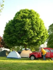 Camping au bord de l'étang