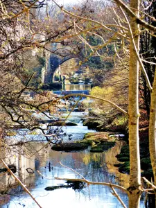 Ain downstream from the bridge of the Sword (© Jean Espirat)