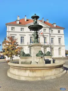 The fountain with four lions in front of the town hall (© Jean Espirat)