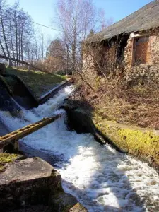 Cousin River in der Nähe der alten Mühle