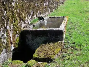 Auge Granitstein in St. Leger