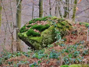 Rock boven de steen die overgaat (© Jean Espirat)