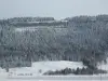 Chapelle-des-Bois - La falaise du Risoux