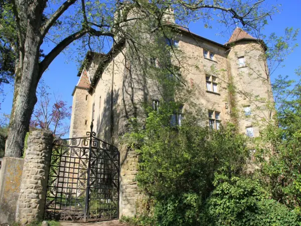 Castillo de Charmes-sur-l'Herbasse - Monumento en Charmes-sur-l'Herbasse