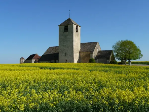 Chassignelles - Führer für Tourismus, Urlaub & Wochenende in der Yonne