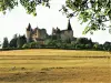 Chateauneuf-en-Auxois - Châteauneuf 入耳式