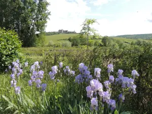 Uitzicht op Châteauneuf in het voorjaar