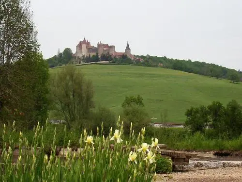 Châteauneuf-en-Auxois - Vue sur le château de Châteauneuf depuis le canal de Bourgogne