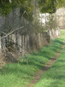 Chemin de Châtel-Censoir