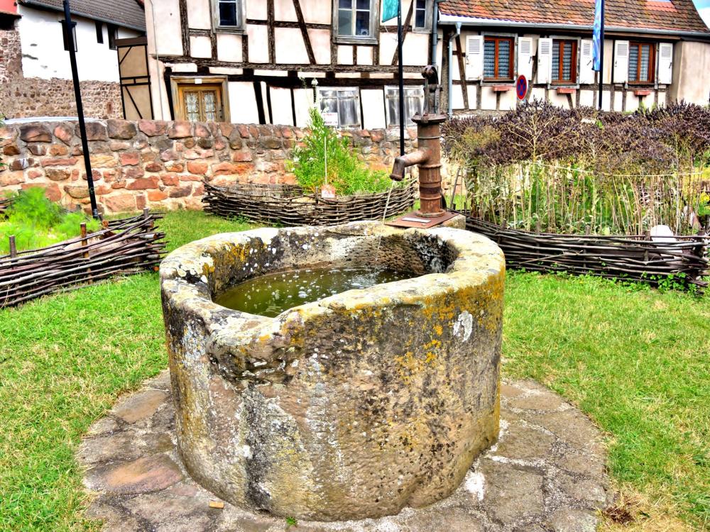 Châtenois - Old well, in the medieval garden (© J.E)