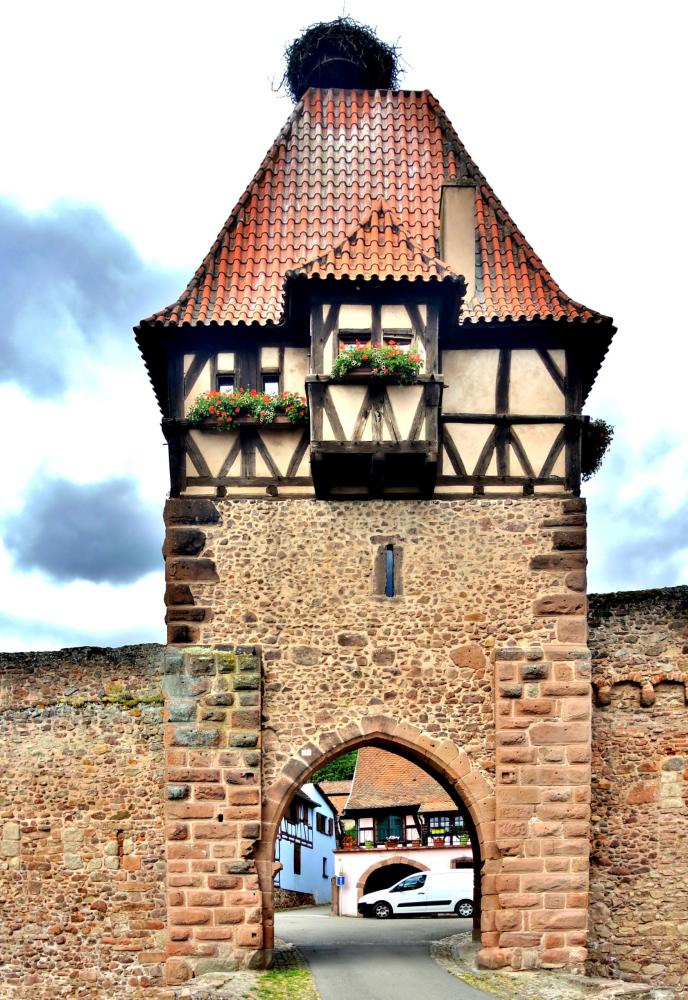 Châtenois - Tour des Sorcières, view of the medieval garden (© J.E)