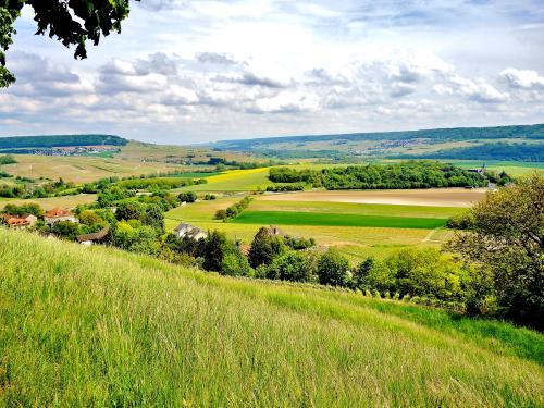 Photos ChâtillonsurMarne Tourism, Holidays & Weekends