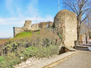 Antiguo castillo de los duques de Borgoña - Ruinas de la torre de vigilancia (© Jean Espirat)