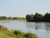 Banks of the Loire