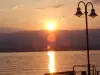 Chens aan de rand van het water te Tougues: zonsondergang