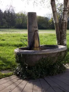 Chens aan de rand van het water te Tougues: Fountain