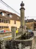 Fontaine-lavoir, in the central square (© JE)