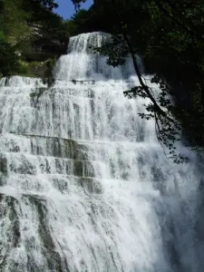 Cascade Hedgehog intorno