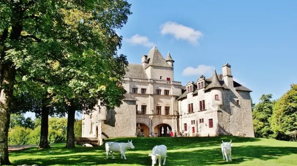 Château de Sédières - Monument à Clergoux