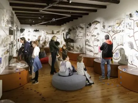 Musée d'Histoire Naturelle Henri-Lecoq - Lieu de loisirs à Clermont-Ferrand