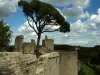 Clisson, Mittelalter und Italien (© Bertrand Rivière)