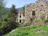 Cognocoli-Monticchi - Gids voor toerisme, vakantie & weekend in Zuid-Corsica