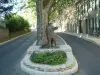 Collobrières - The entrance of the village