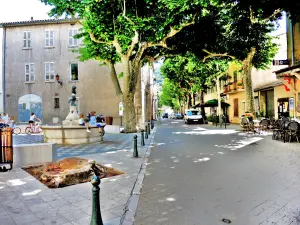 Place centrale avec fontaine et platanes (© J.E)