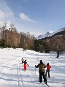 Skieurs sur la piste verte