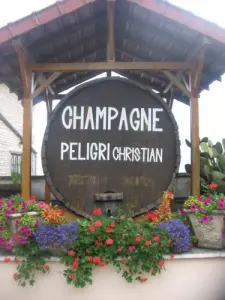 Champagne cellar, close to the Memorial