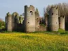 Commequiers - Guía turismo, vacaciones y fines de semana en Vendée