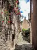 Conques-en-Rouergue - Rue du convent (© JE)