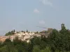 Vue générale de Conques