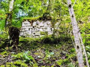 Ruine de Châtelneuf-en-Vennes - Base de la tour d'angle sud-ouest (© J.E)