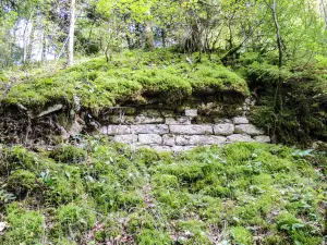 Reste de la muraille sud de Châtelneuf-en-Vennes (© J.E)