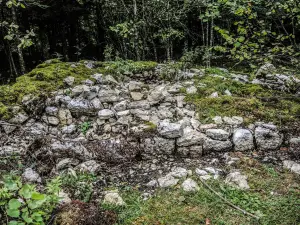 Reste d'une des tours de Châtelneuf-en-Vennes (© J.E)