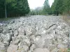 Ce champ de roches ressemble vraiment à un fleuve de pierres (© J.E)