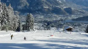 Alpine ski slopes