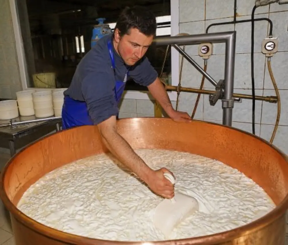 Cordon - Productie van de Tomme de Savoie