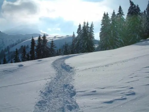 Cordon - Sneeuwschoenwandelen op het Plateau des Bénés