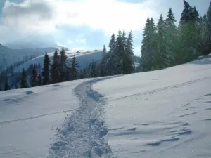 Snowshoeing at the Plateau des Bénés