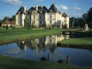 Château de Cormatin