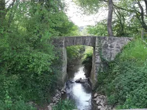 El puente de mula