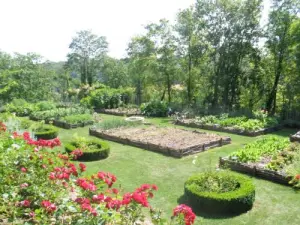 Jardin médiéval - Coucy-le-Château